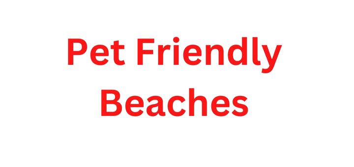 Pet Friendly Beaches
