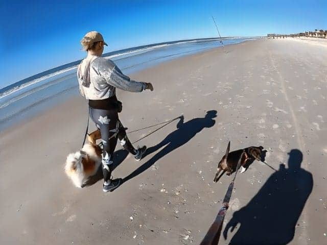 Atlantic beach dog