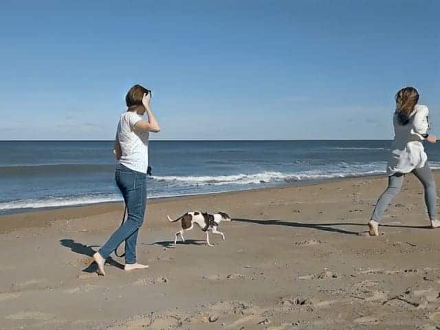 Dog is playing at Kitty Hawk Beach