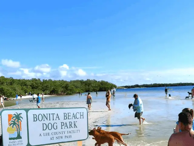 Bonita Beach Dog Park Fort Myers