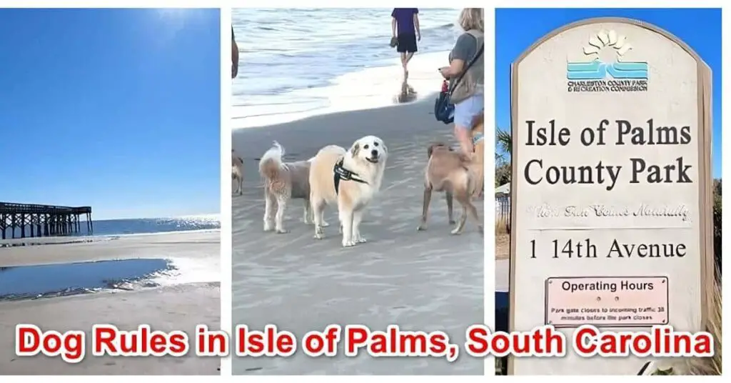 Dog Rules in Isle of Palms South Carolina