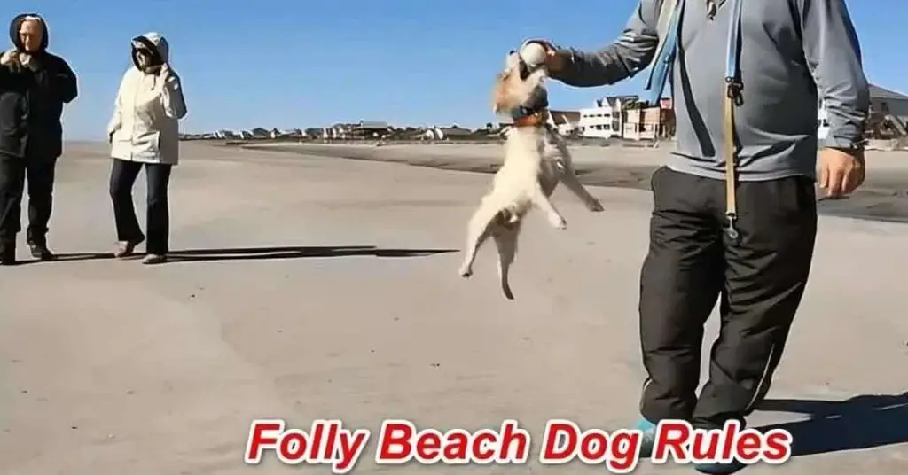 Folly Beach Dog Rules