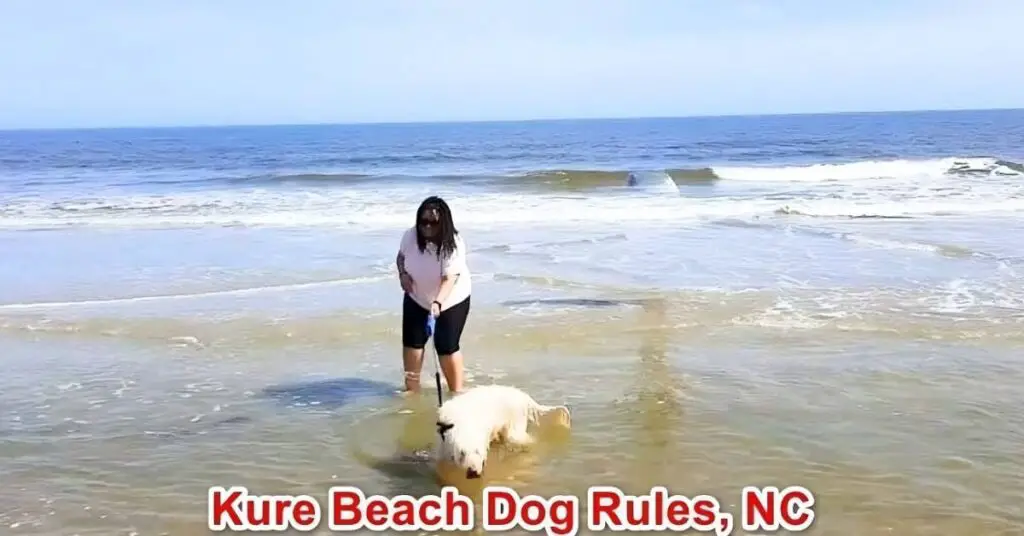 Kure Beach Dog Rules NC