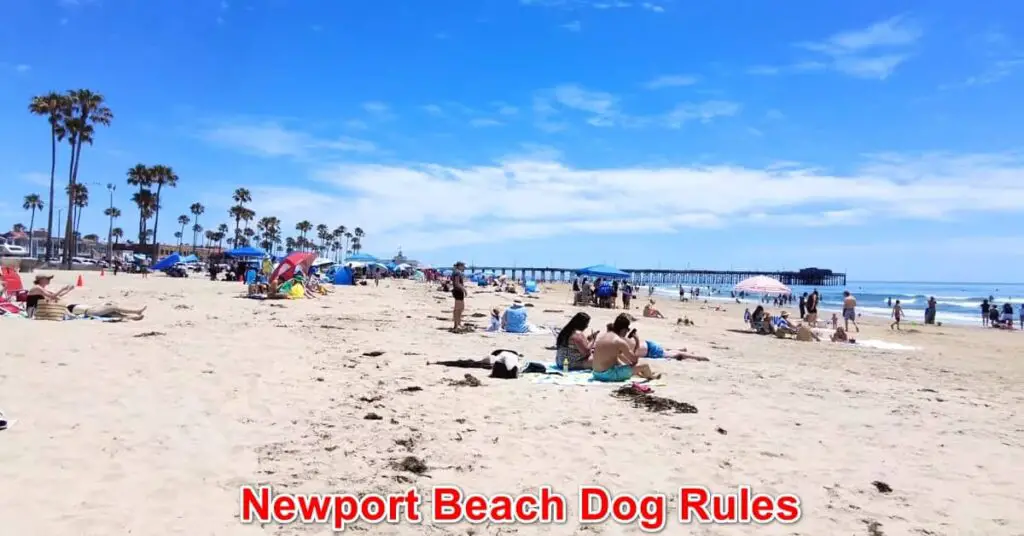 Newport Beach Dog Rules