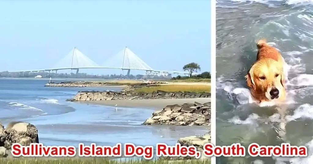 Sullivan's Island Beach Dog Rules, South Carolina