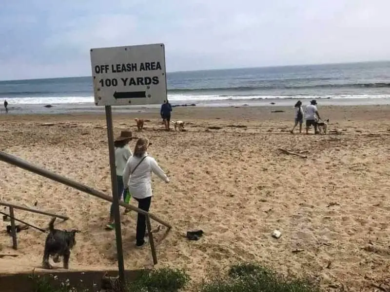 Arroyo Burro Beach County Park Dog Rules