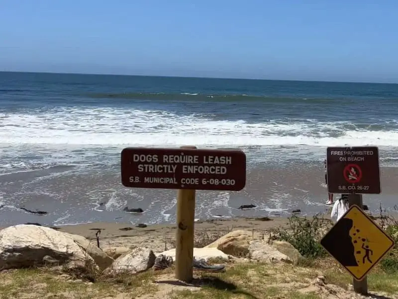 Arroyo Burro Dog Beach Rules, Santa Barbara, California