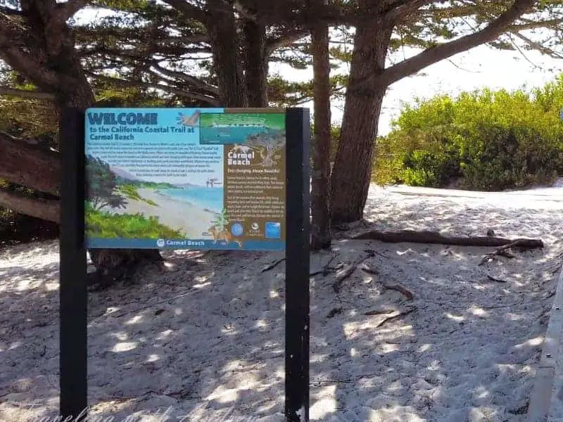 Carmel Sea Beach Rules Monterey, California