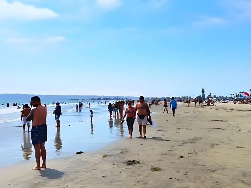 Dog Friendly Coronado Beach, San Diego