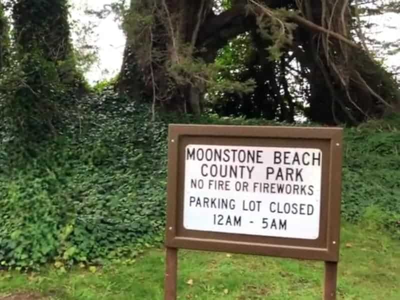 Moonstone Dog Beach County park rules