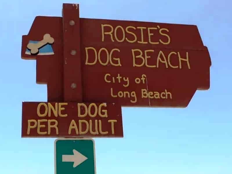Rosie's Dog Beach Long Beach. CA