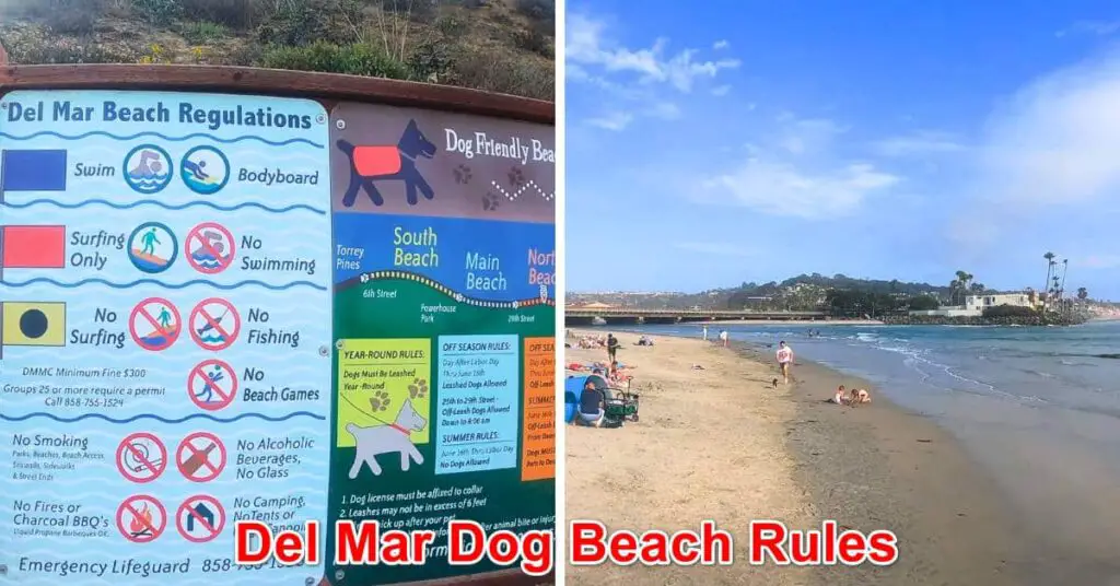 Del Mar Dog Beach Rules