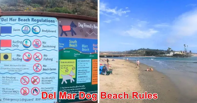 Del Mar Dog Beach