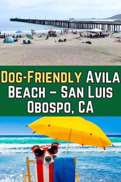 Dog-Friendly Avila Beach, San Luis Obispo, CA