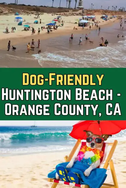 Dog-Friendly Huntington Beach, Orange County, CA