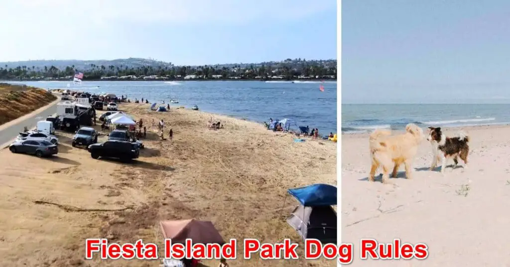  Fiesta Island Dog Park