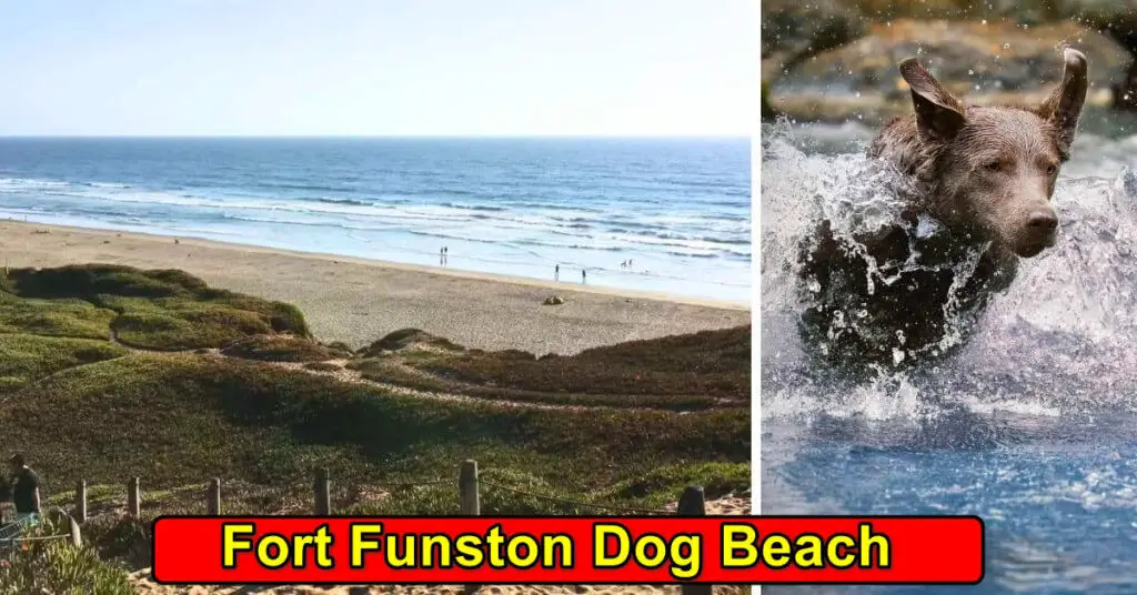 Fort Funston Dog Beach