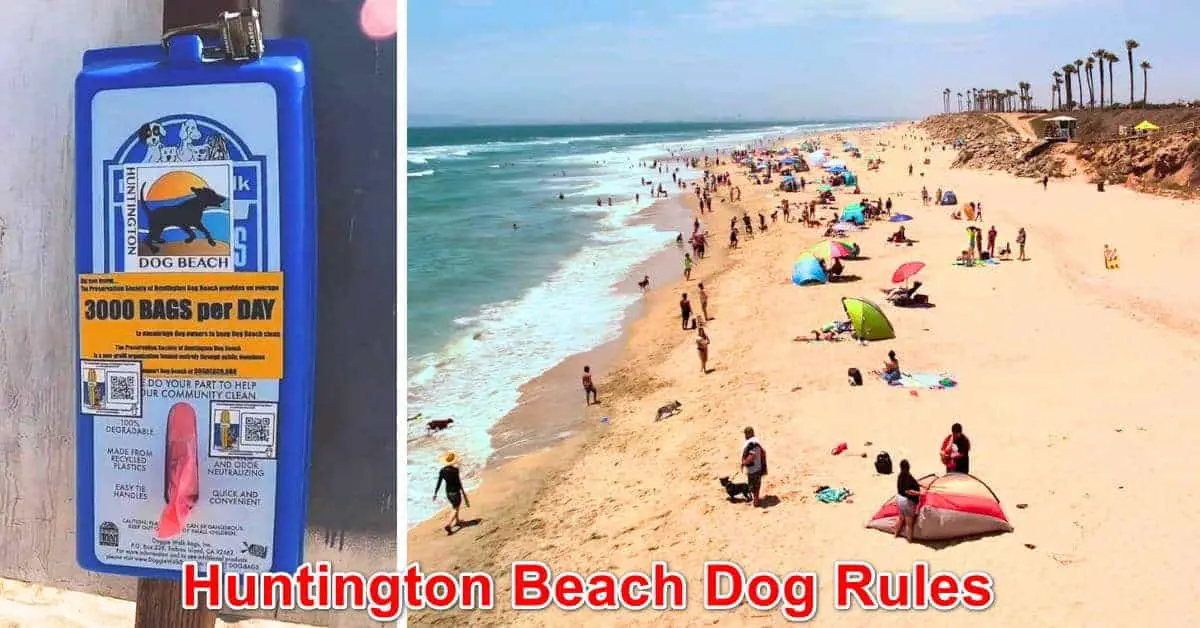 Huntington Beach Dog Rules