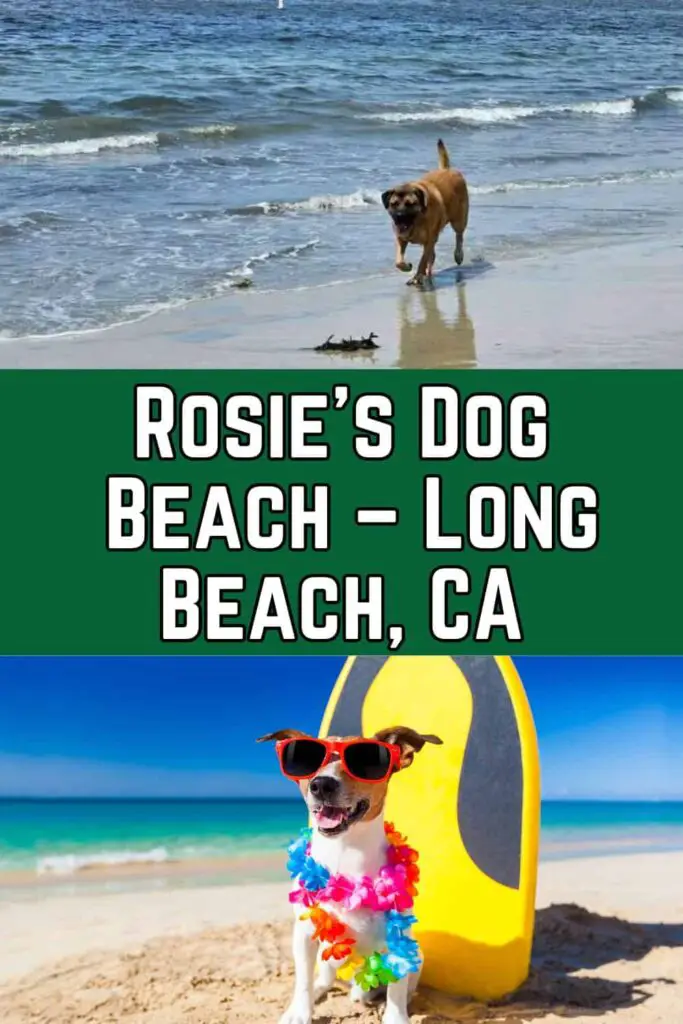 Rosie's Dog Beach, Long Beach, CA