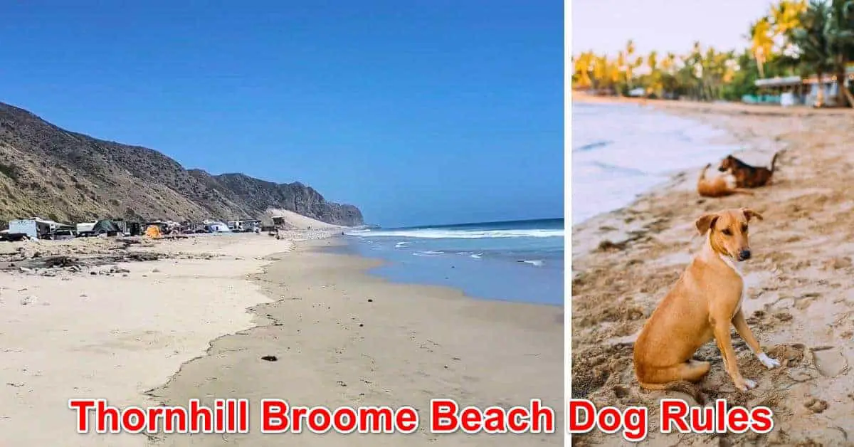 Thornhill Broome Beach New Dog Rules