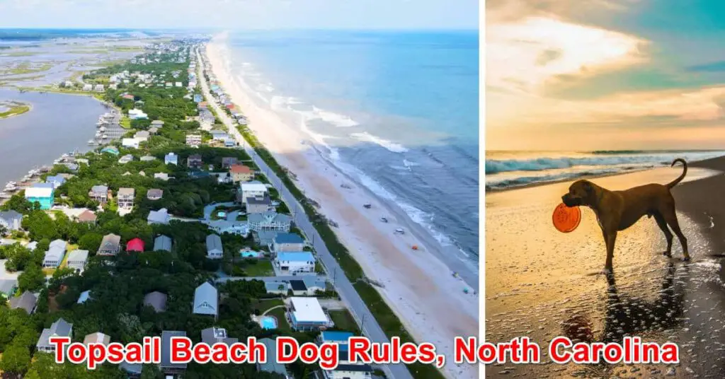 Topsail Beach Dog Laws: A Complete Guide for Pet Owners