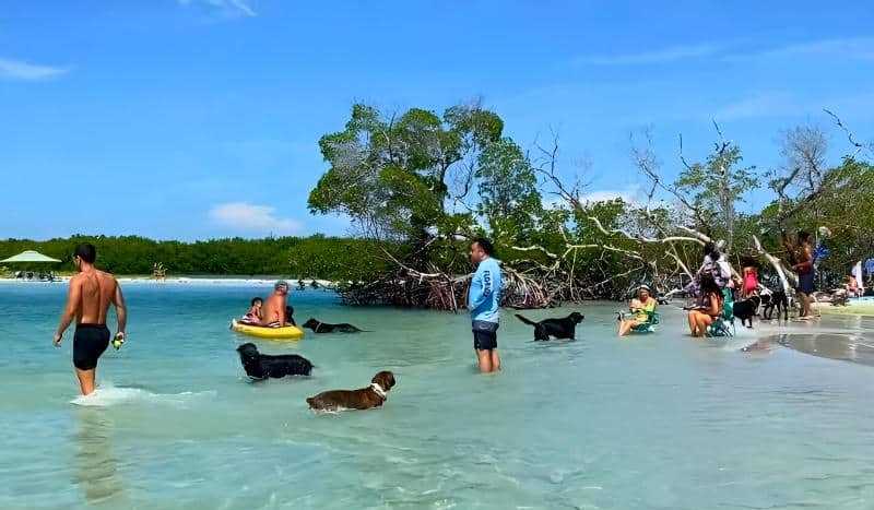 Bonita Dog Beach Florida