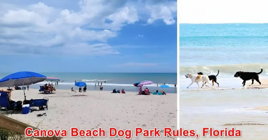 Canova Beach Dog Park Rules, Florida