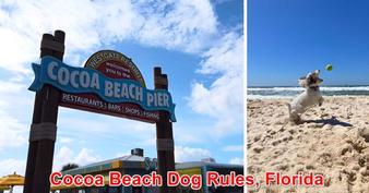 se permiten perros en cocoa beach, florida