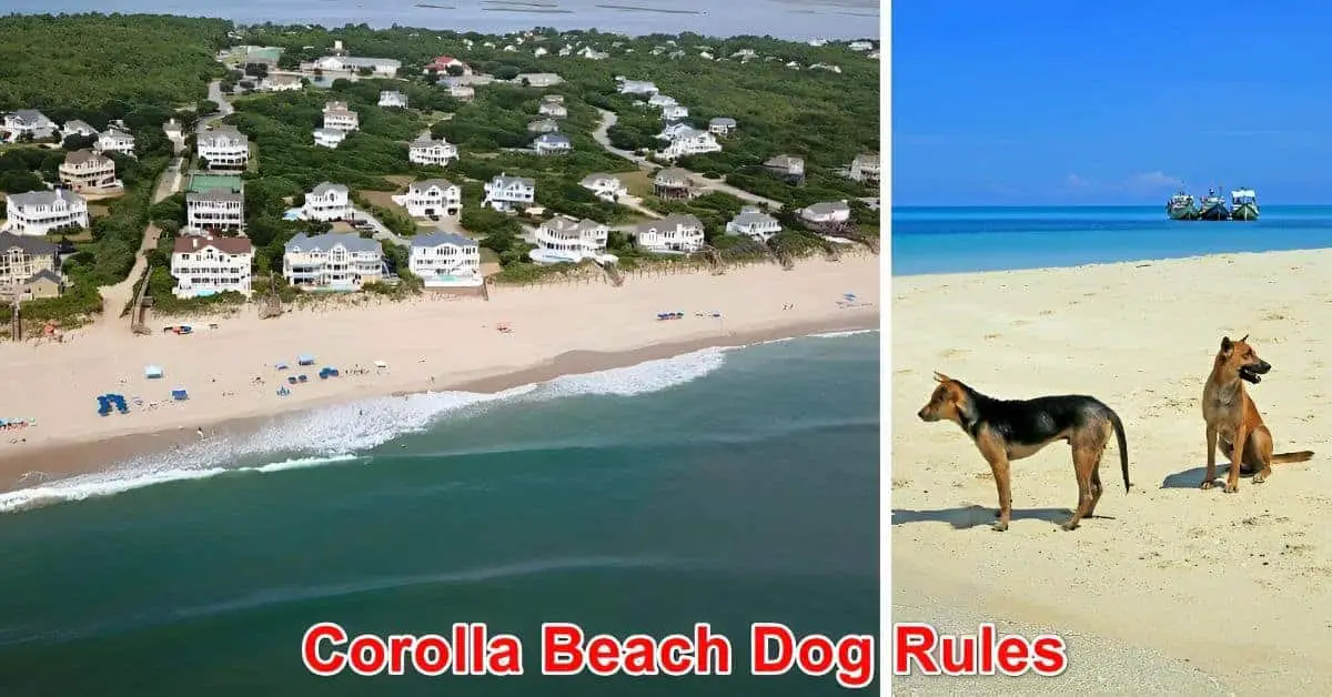 Corolla Beach Dog Rules, NC