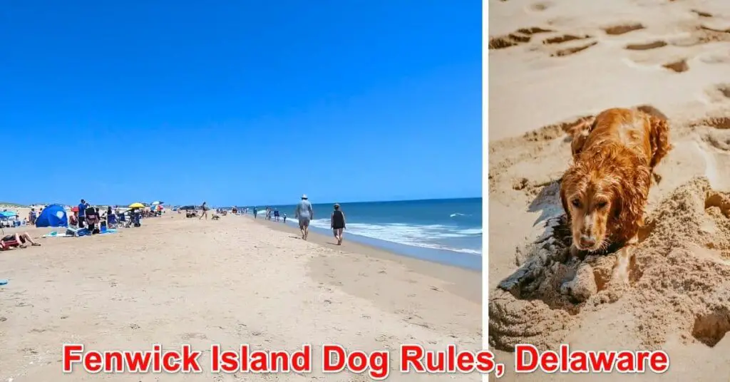 Fenwick Island State Park Dog Rules, Delaware