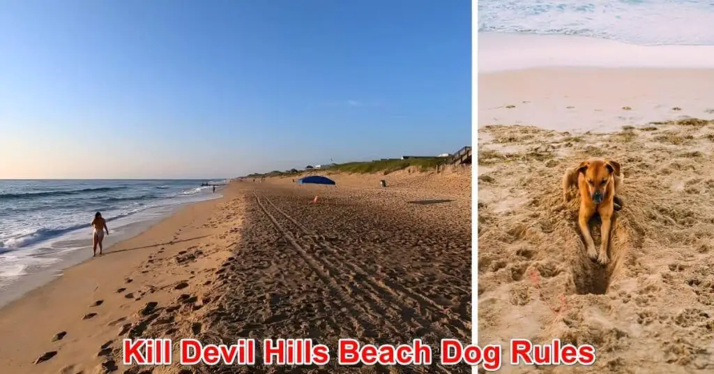 Kill Devil Hills Beach Rules