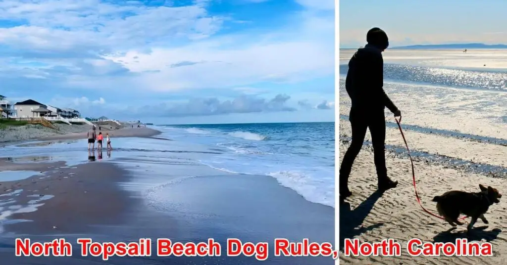North Topsail Beach Dog Rules North Carolina