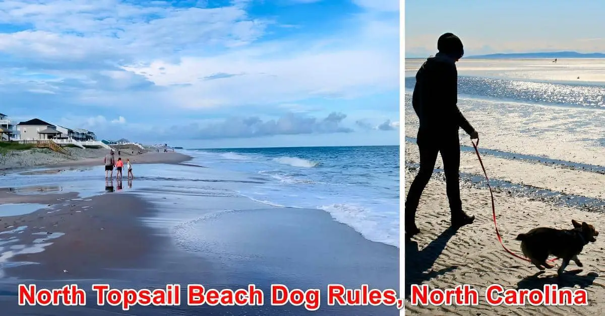 North Topsail Beach Dog Rules, North Carolina
