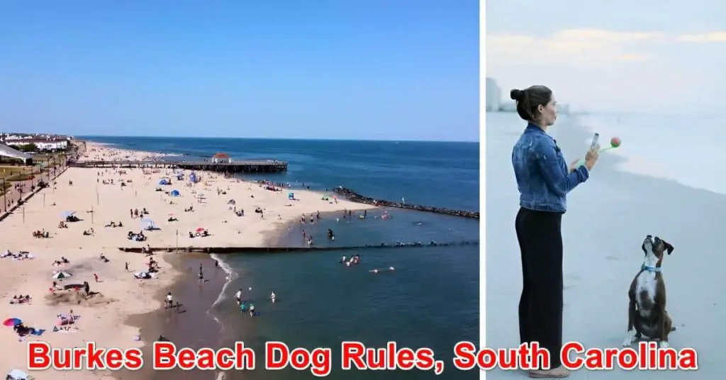 Burkes Beach Dog Rules, Hilton Head Island, SC