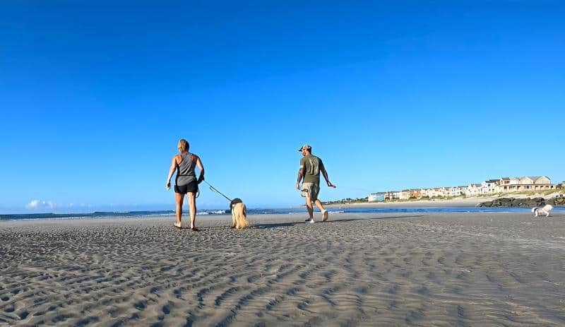Burkes Beach Dog South Carolina