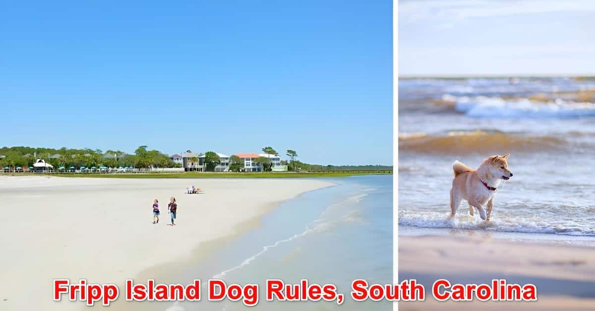 Fripp Island Dog Rules, South Carolina