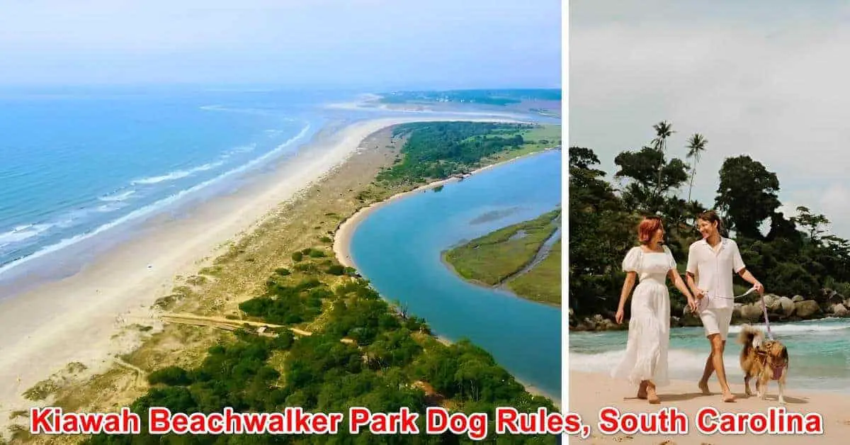 Kiawah Beachwalker Park Dog Rules, South Carolina