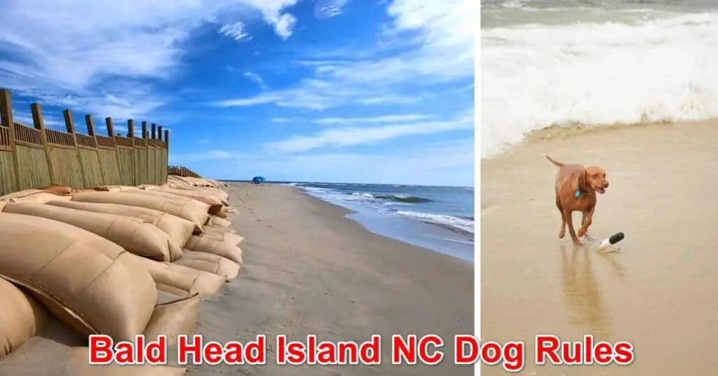 Bald Head Island Beach Dog Rules, NC
