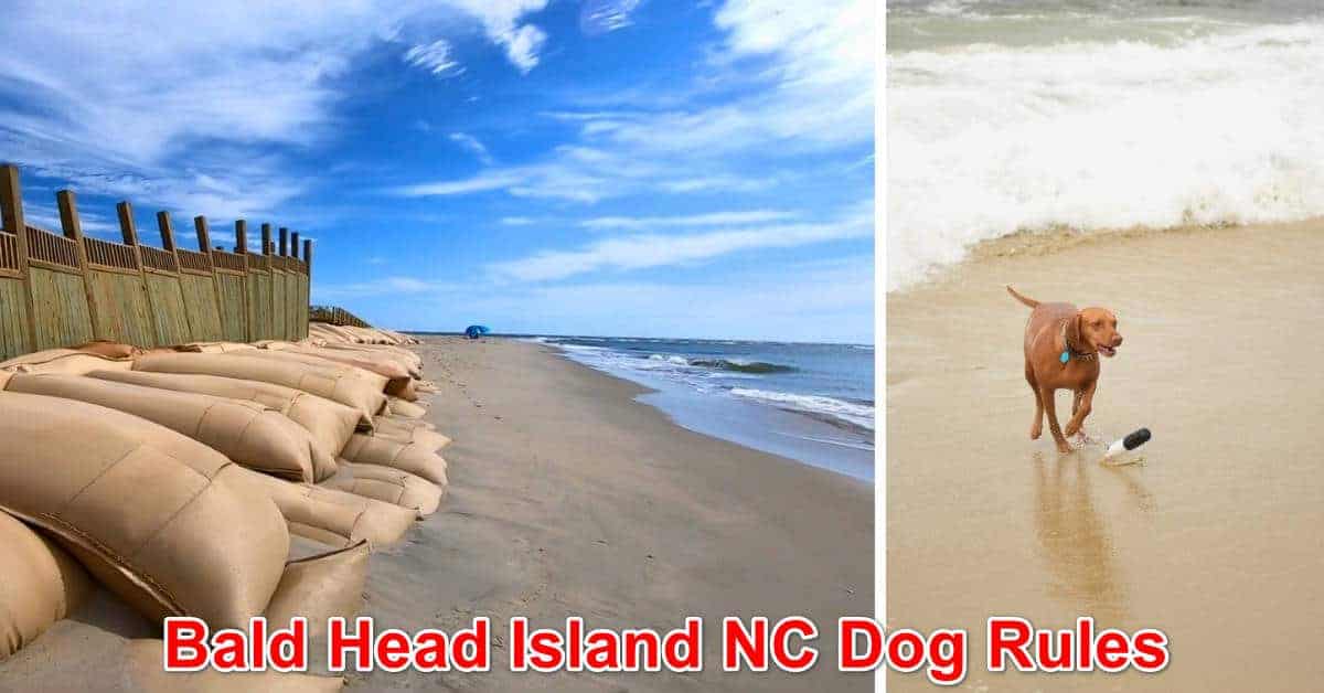 Bald Head Island Beach Dog Rules, North Carolina New Laws 2024