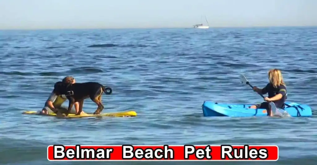 Belmar Beach Pet Rules for Dogs, New Jersey