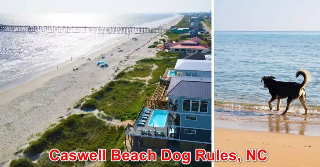 Caswell Beach Dog Rules, North Carolina