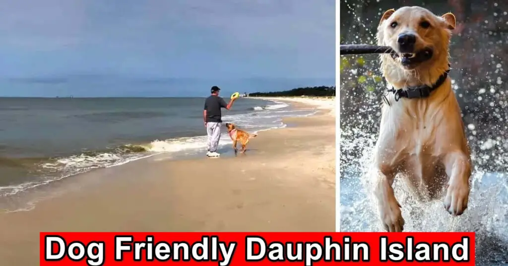 Dog Friendly Dauphin Island