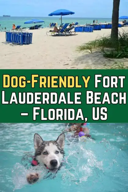 Dog-Friendly Fort Lauderdale Beach, Florida, US