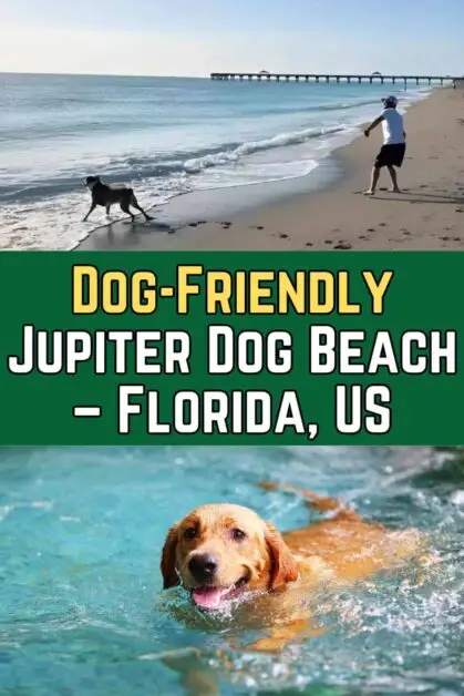 Dog-Friendly Jupiter Dog Beach, Florida, US