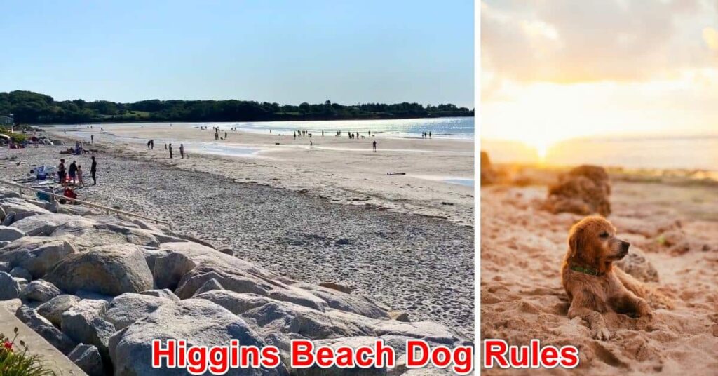 Higgins Beach Dog Rules, Maine