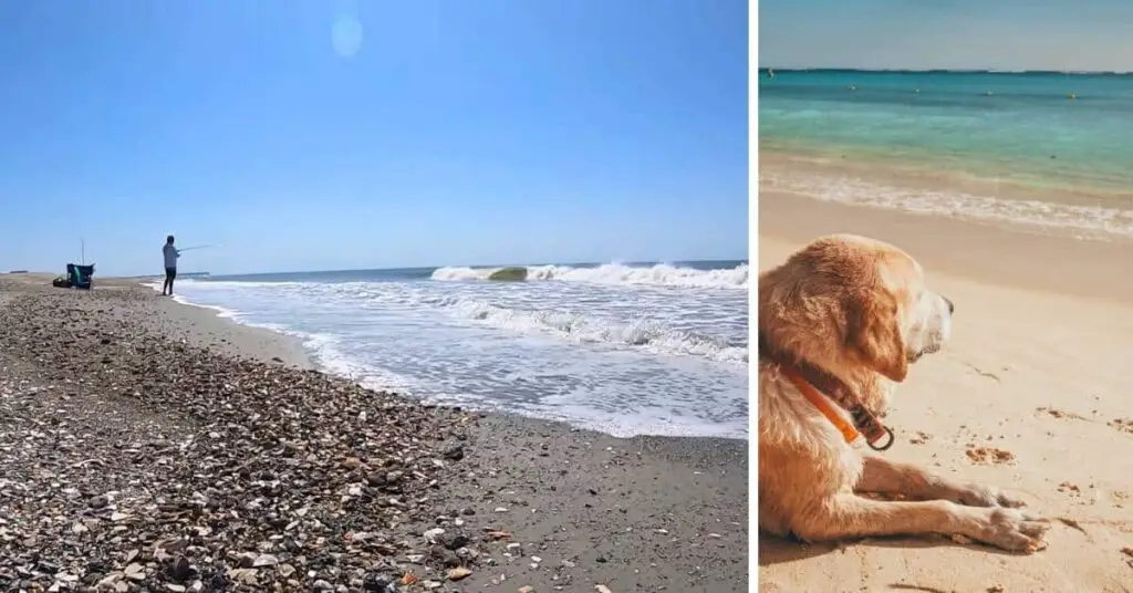 Holden Beach Dog Rules, North Carolina