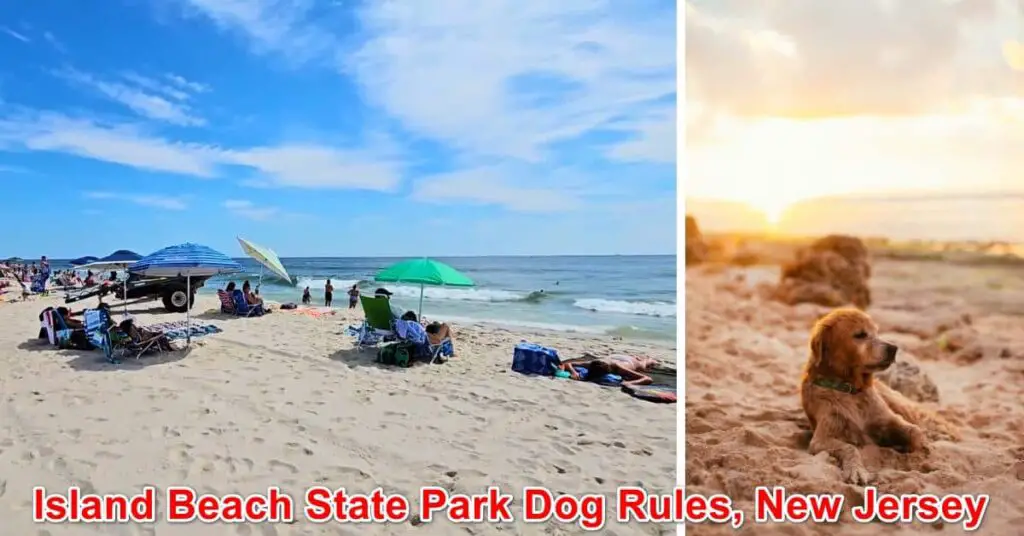 Island Beach State Park Dog Rules, NJ