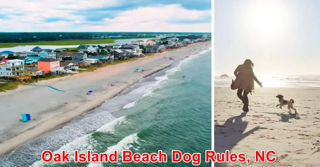 Oak Island Beach Dog Rules, NC