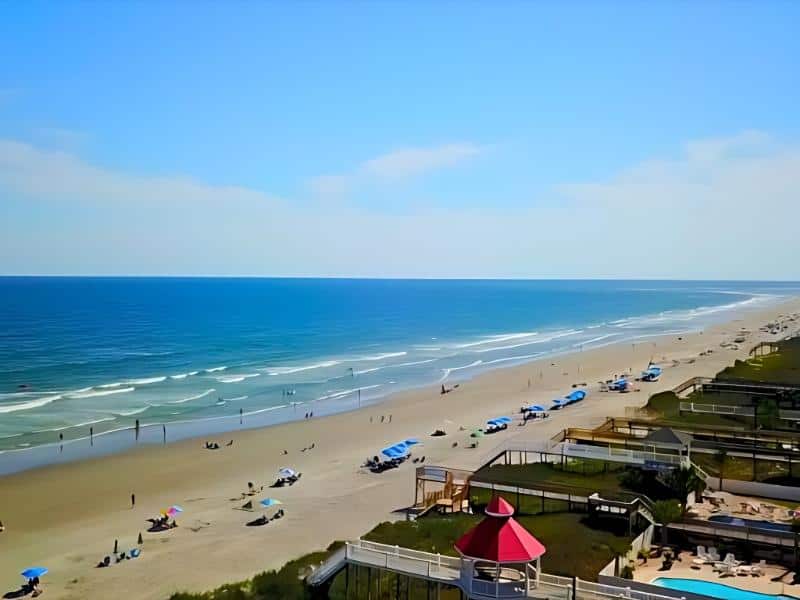 Ocean Isle Beach Dog Rules North Carolina New Laws 2025