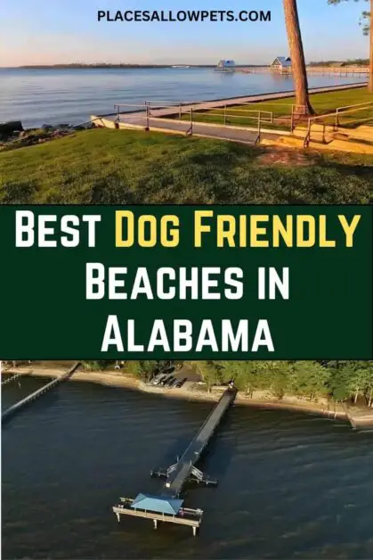 Best Dog-Friendly Beaches in Alabama
